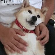 666